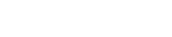 Meet the Team
